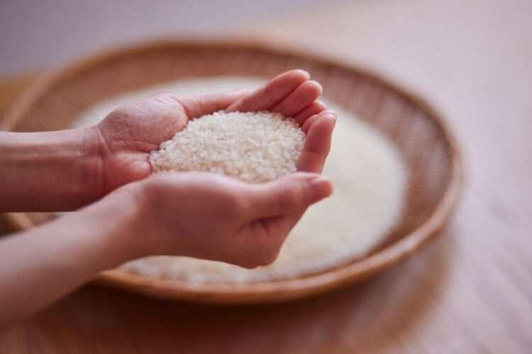 Foto: iStockphoto