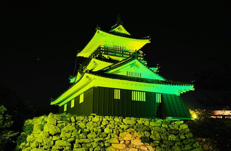 Castelo de Hamamatsu com iluminação verde e amarela. Foto: Claudio Endo/Alternativa