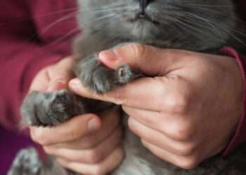 Foto: iStockphoto