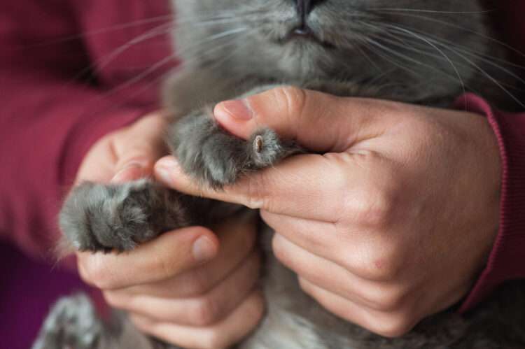 Foto: iStockphoto