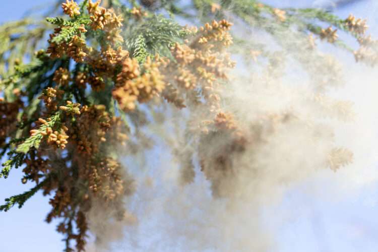 Foto: iStockphoto
