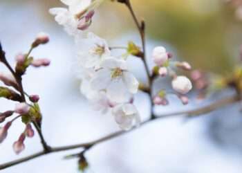 Foto: iStockphoto