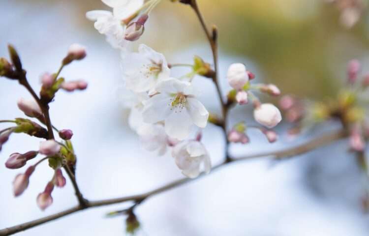 Foto: iStockphoto