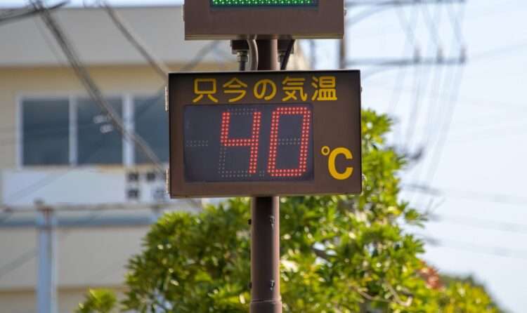 Foto: iStockphoto