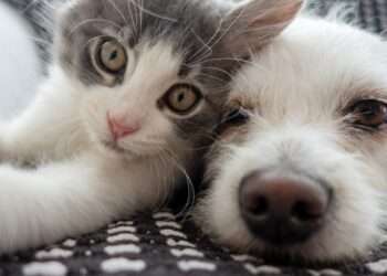 Foto: iStockphoto