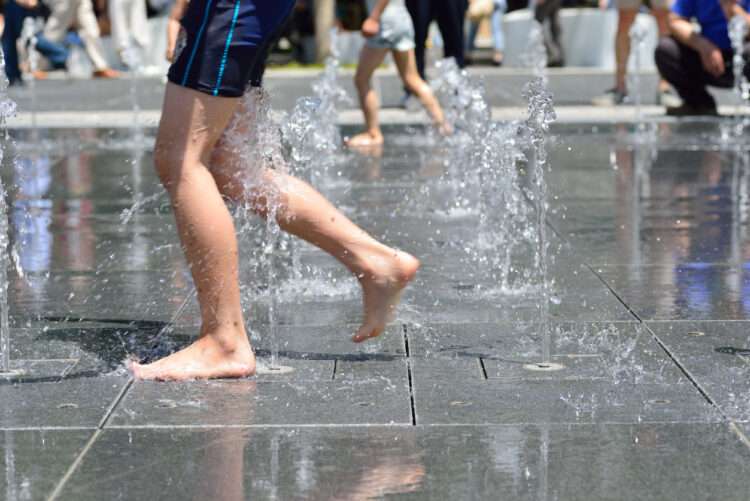 Foto: iStockphoto