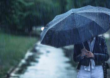 Foto: iStockphoto
