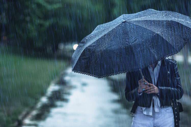 Foto: iStockphoto