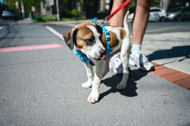 Foto: iStockphoto