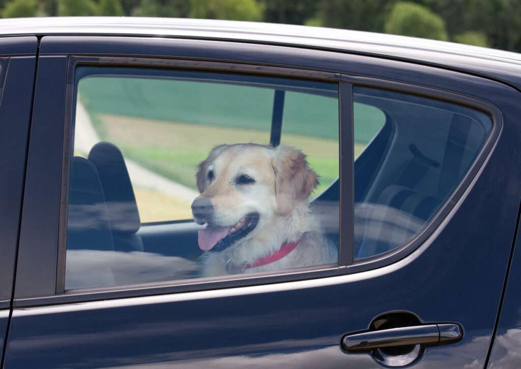 Foto: iStockphoto