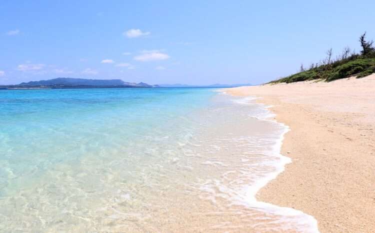 Foto: iStockphoto