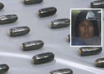 Rosa Micaela Quipildor, presa ao entrar no Japão com droga. Fotos: Reprodução/FNN/ANN