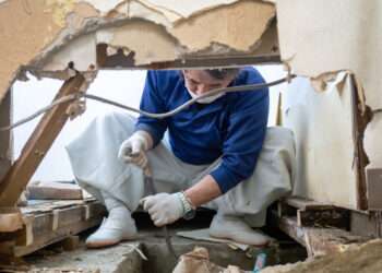 Foto: iStockphoto