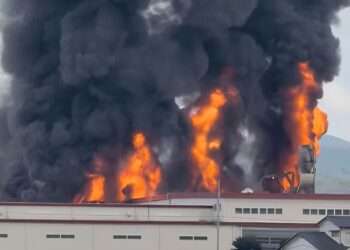 Foto: Reprodução/FNN